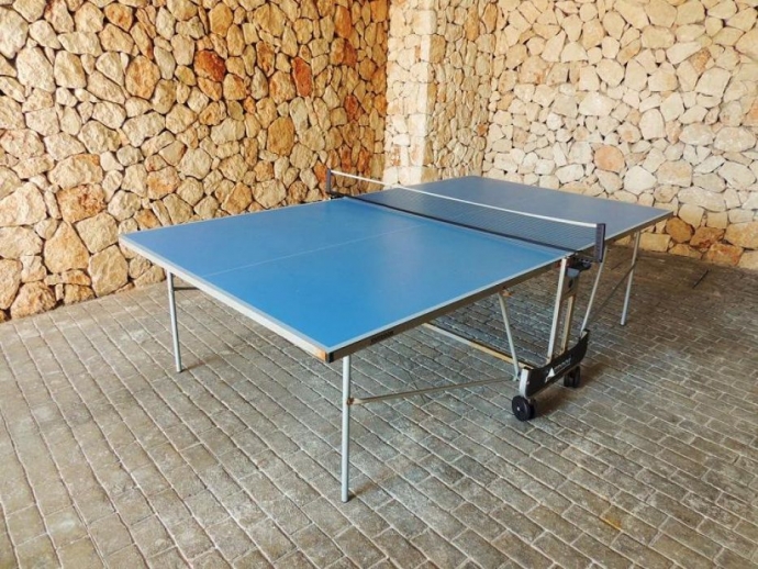 Ping Pong