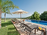 Pool Area surrounded by green lawn and palm trees