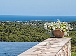 Infinity-Pool and Seaview