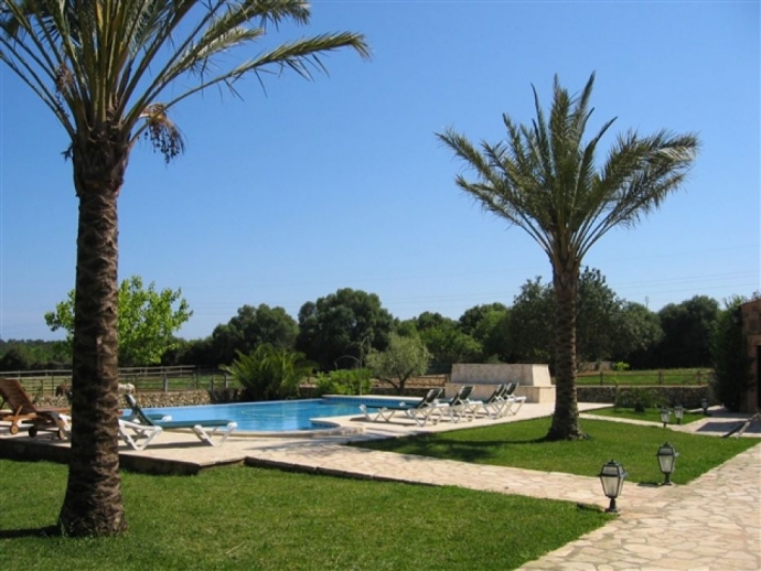 Pool / Garden Area