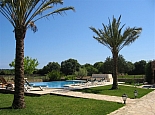 Pool / Garden Area