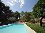 Pool / Garden Area